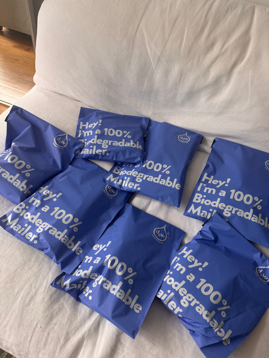 Sustainable Summer Recap